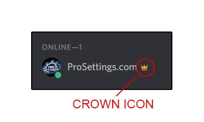 How To Remove The Crown Owner Icon Next To Your Name In Discord